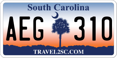 SC license plate AEG310