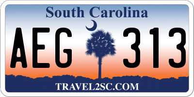 SC license plate AEG313