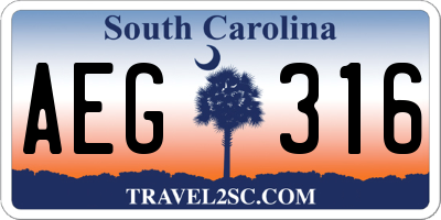 SC license plate AEG316