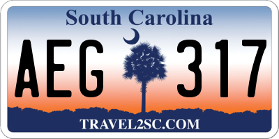 SC license plate AEG317