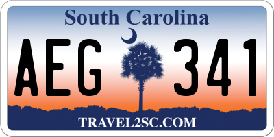 SC license plate AEG341