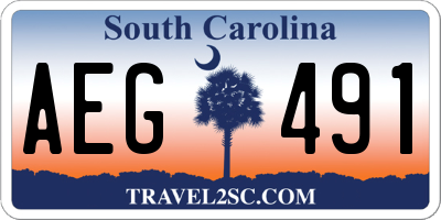 SC license plate AEG491