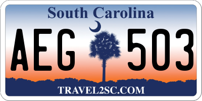 SC license plate AEG503