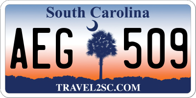 SC license plate AEG509
