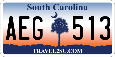 SC license plate AEG513