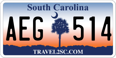 SC license plate AEG514