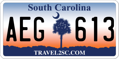 SC license plate AEG613