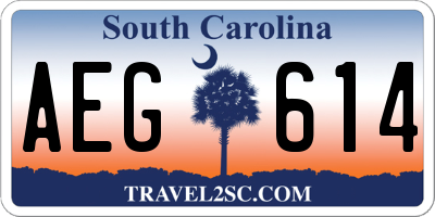 SC license plate AEG614