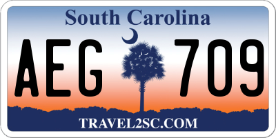SC license plate AEG709