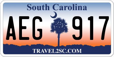 SC license plate AEG917