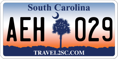 SC license plate AEH029