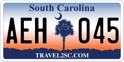 SC license plate AEH045