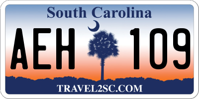 SC license plate AEH109