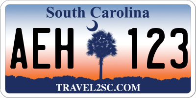 SC license plate AEH123