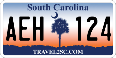 SC license plate AEH124