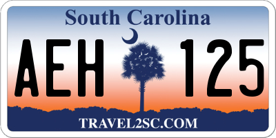 SC license plate AEH125