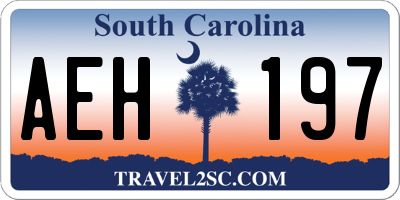 SC license plate AEH197
