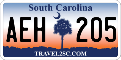SC license plate AEH205