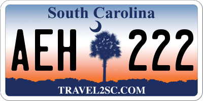 SC license plate AEH222