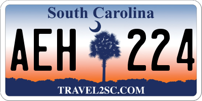 SC license plate AEH224