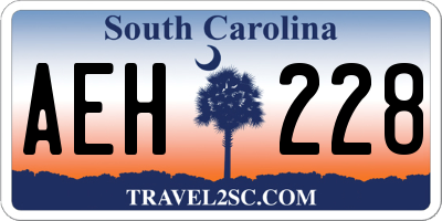 SC license plate AEH228