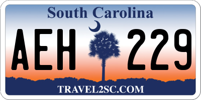 SC license plate AEH229