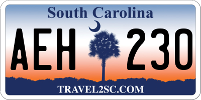 SC license plate AEH230