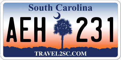 SC license plate AEH231