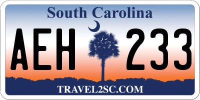 SC license plate AEH233