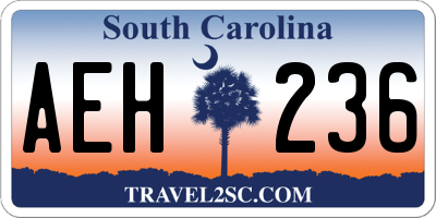 SC license plate AEH236