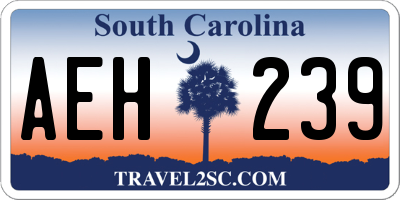 SC license plate AEH239