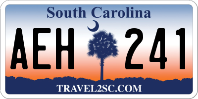 SC license plate AEH241