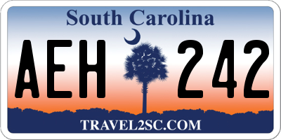 SC license plate AEH242