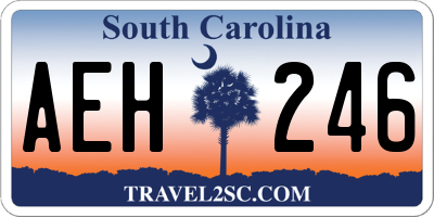SC license plate AEH246
