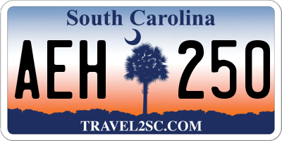 SC license plate AEH250