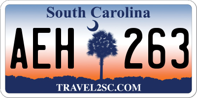 SC license plate AEH263