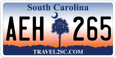 SC license plate AEH265