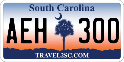 SC license plate AEH300