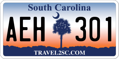 SC license plate AEH301