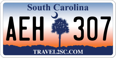 SC license plate AEH307