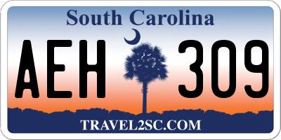 SC license plate AEH309