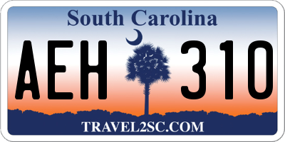 SC license plate AEH310