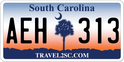 SC license plate AEH313