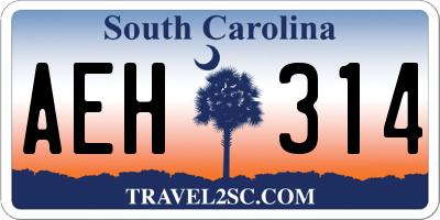 SC license plate AEH314