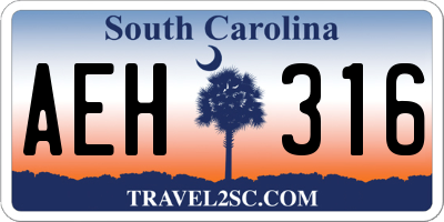 SC license plate AEH316