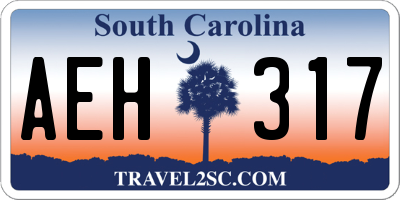SC license plate AEH317