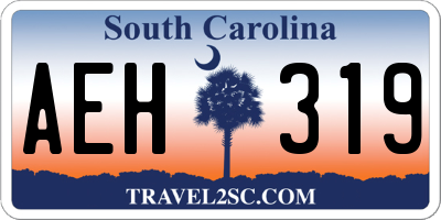 SC license plate AEH319