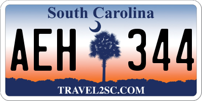 SC license plate AEH344