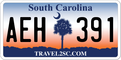 SC license plate AEH391