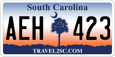 SC license plate AEH423